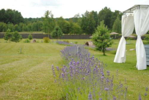Lavender Village — Vievis — photo 5