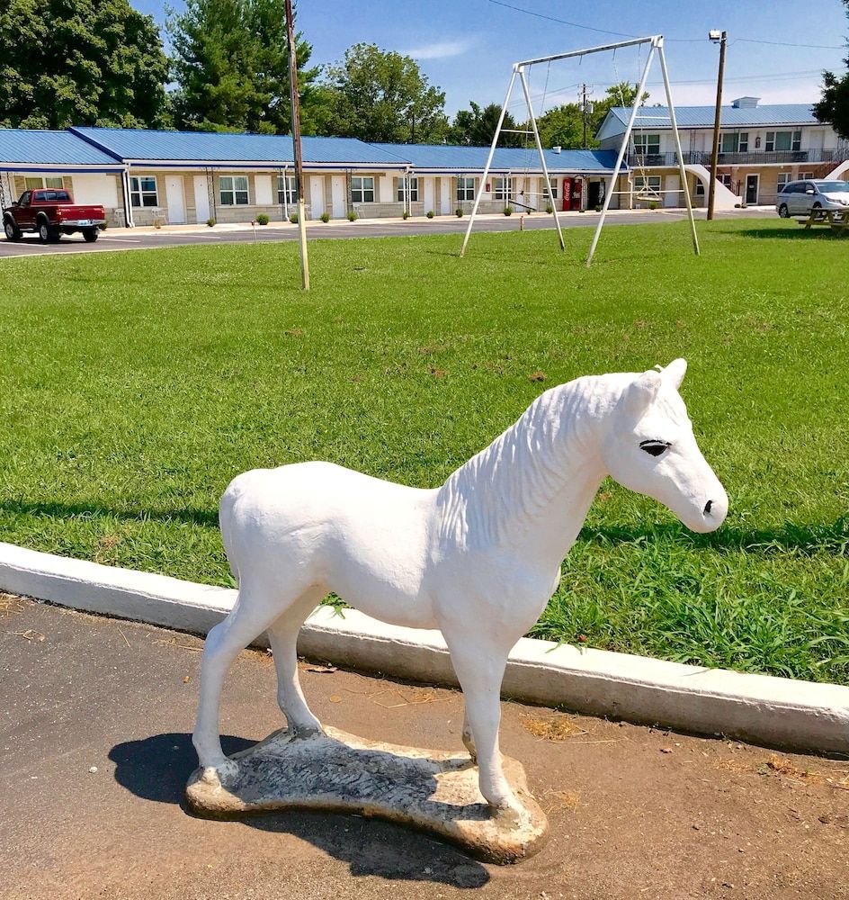 Horse Cave Motel - photo 2