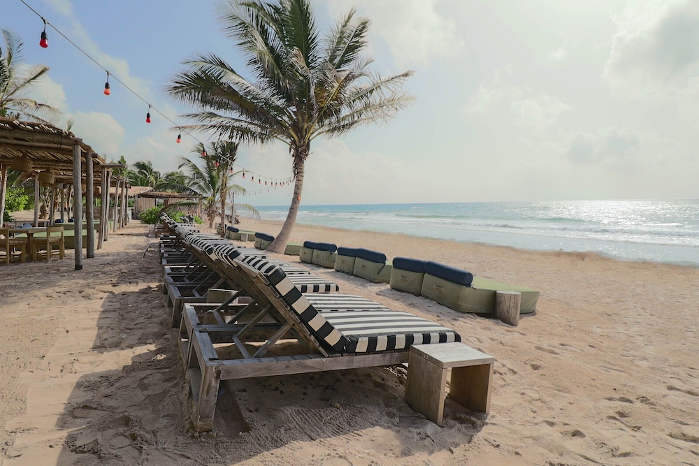 Beach bar