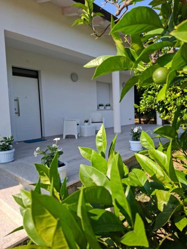 Il Marangolo di Gioso in Rocca San Giovanni, Italy