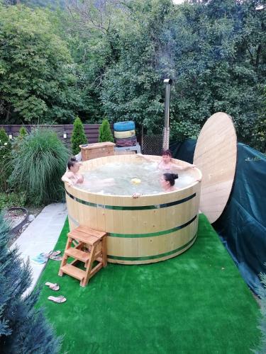 Lclc in Dubova, Romania