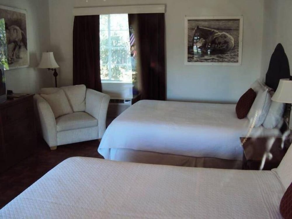 La Siesta Motel - photo 16