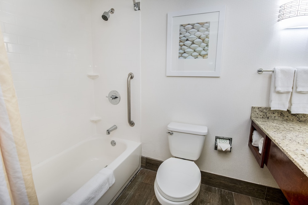 Hilton Garden Inn Orange Beach Beachfront - photo 56