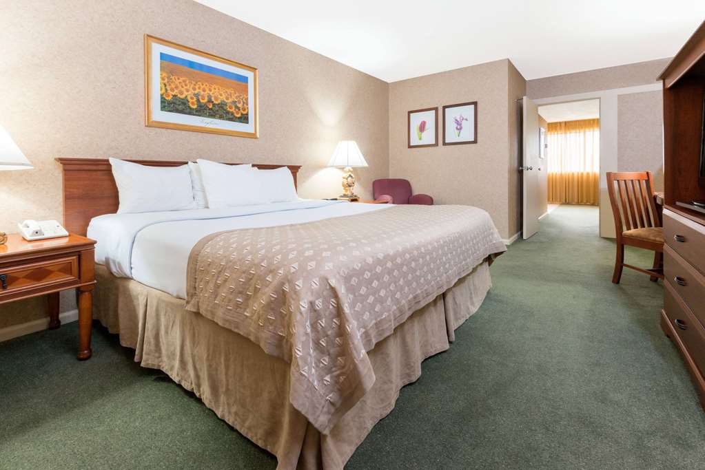 Ramada Hotel & Convention Center by Wyndham Topeka Downtown - photo 8