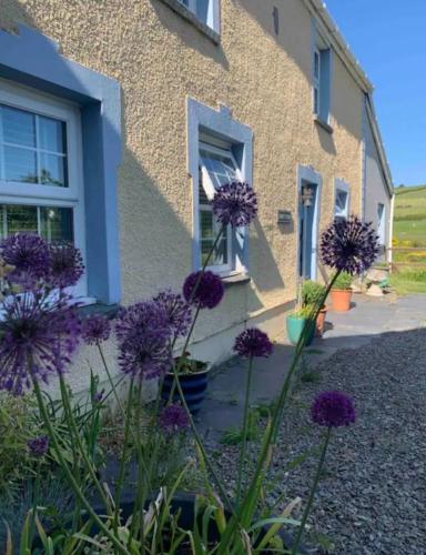 Drws Y Coed in Llandysul, United Kingdom