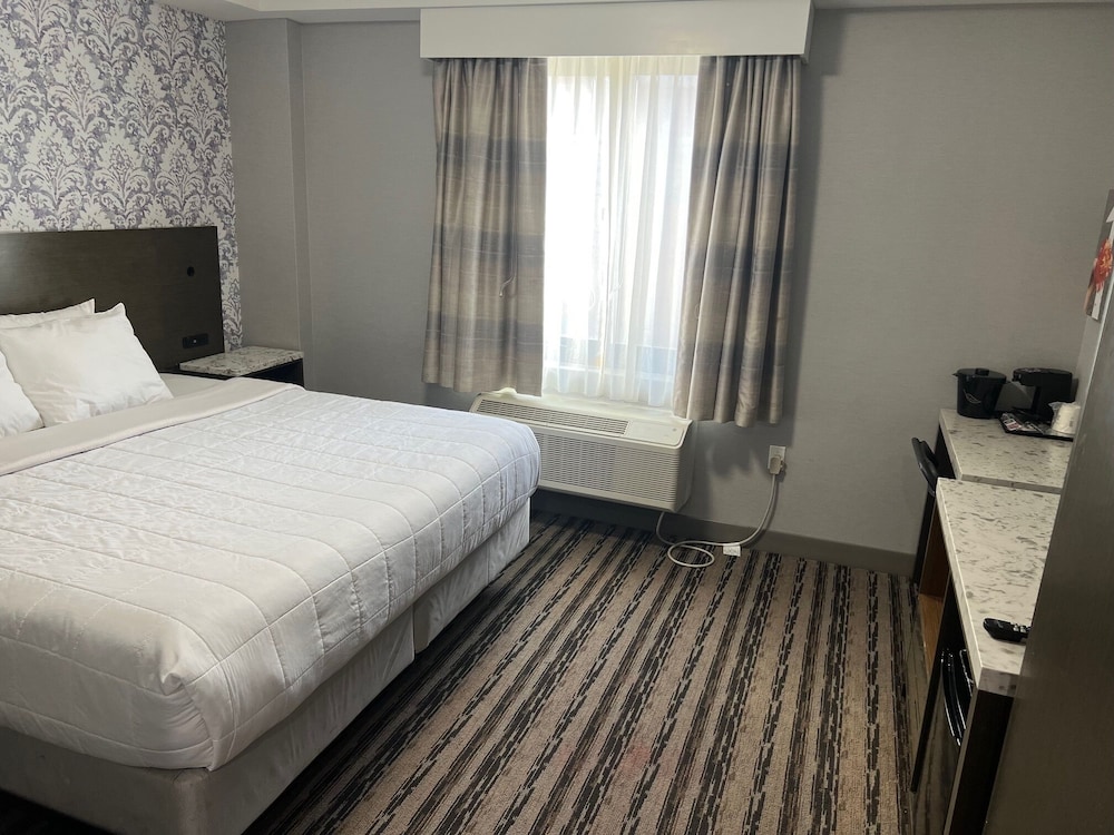 The Essence Hotel At Jfk - photo 7