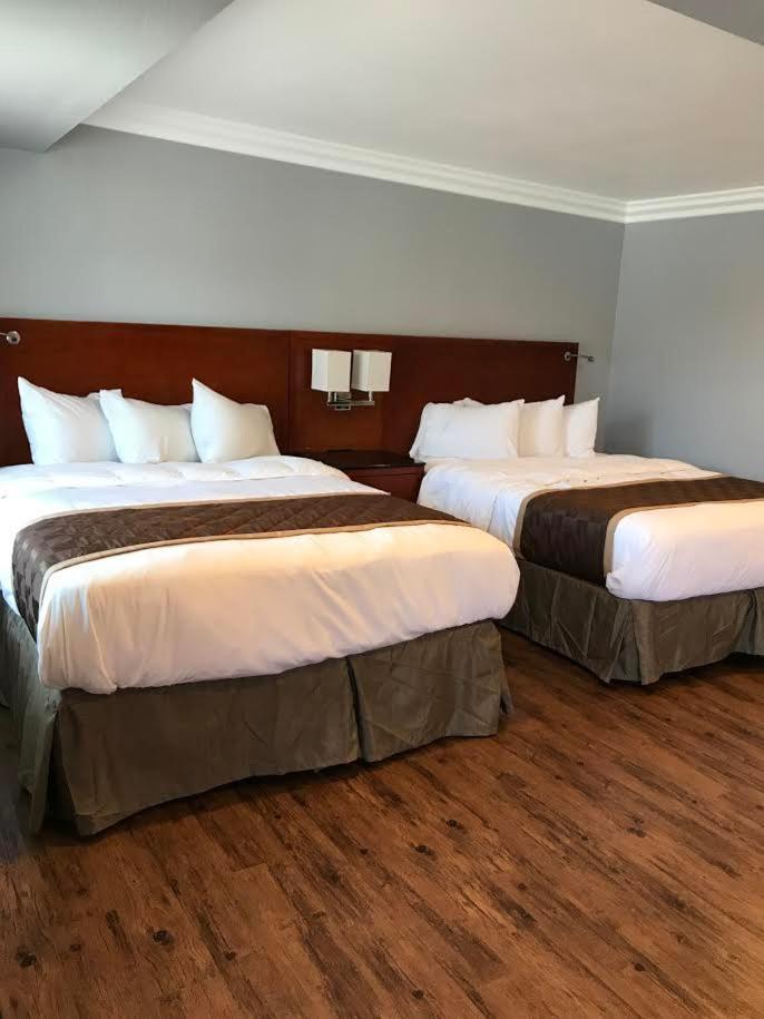 Rex Motel — hotel in Ventura