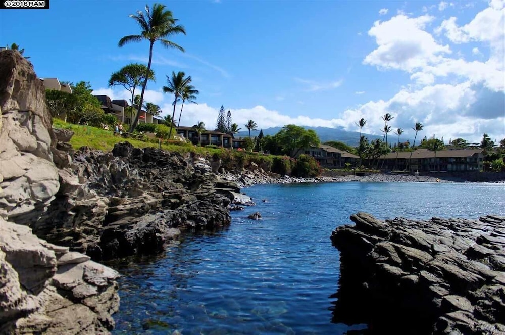 Napili Point C40 NP C40 Beautiful OceanFront 2BD Ocean View AC - photo 27