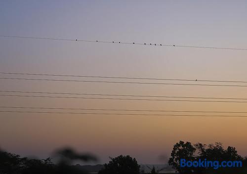 Bird Scenery - last minute hotel in Unknown City