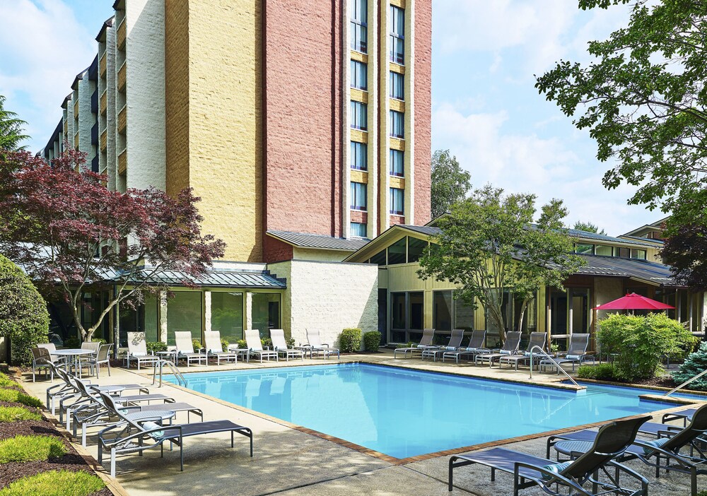 Sheraton Roanoke Hotel and Conference Center - photo 10