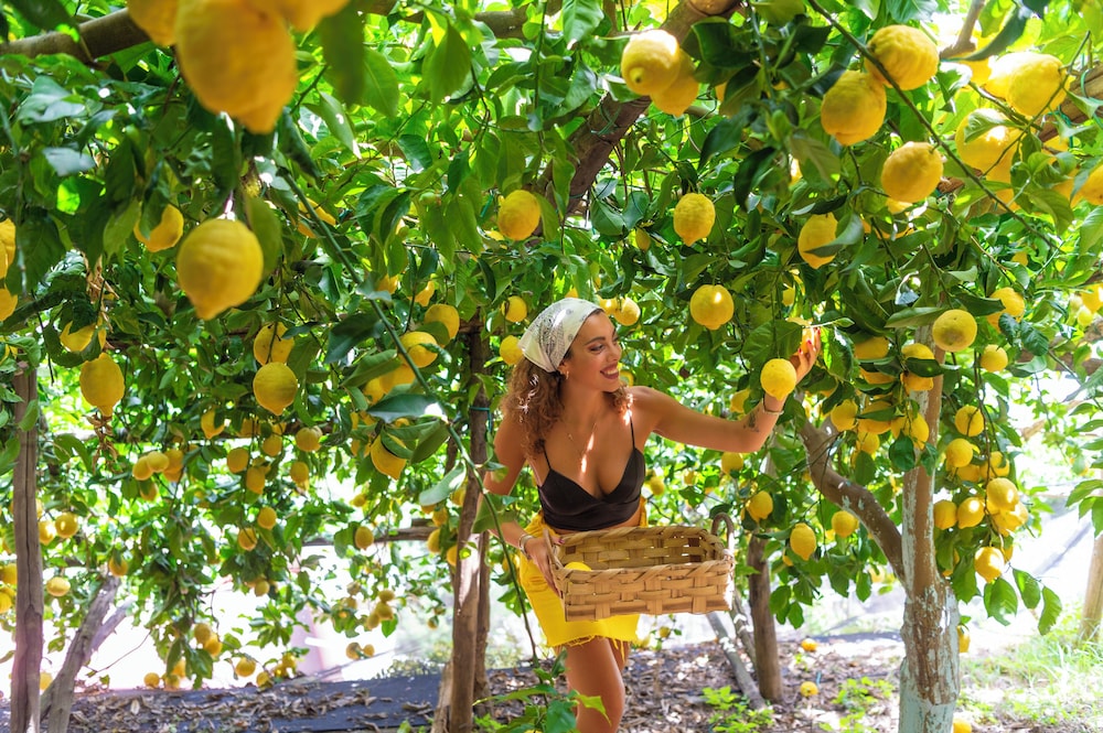 Hotel La Pergola - carbon neutral hotel in Amalfi