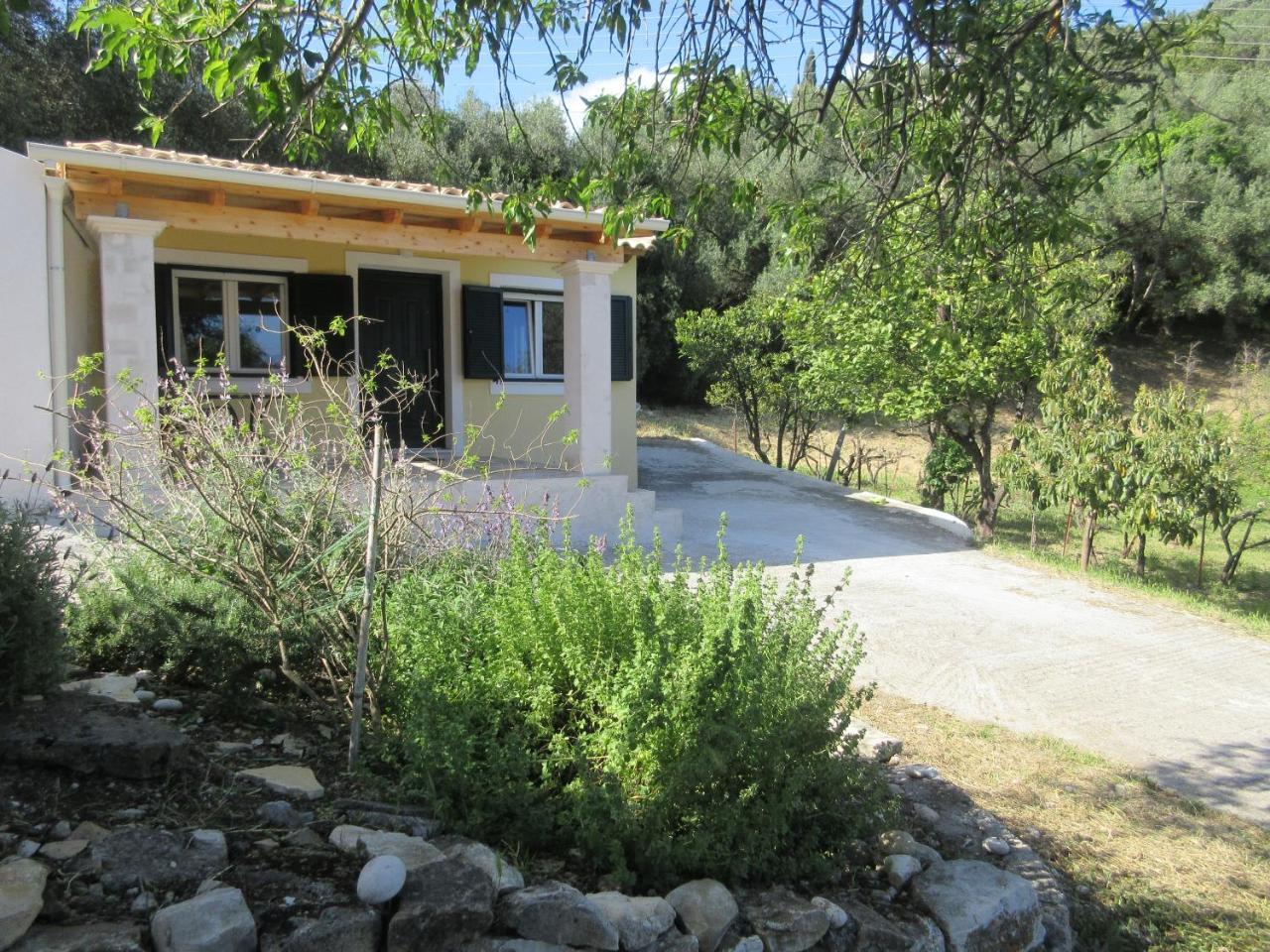 Pepe's studio - last minute hotel in Corfu
