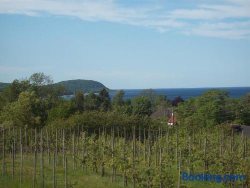 Carlssons på Vik — Simrishamn — photo 5