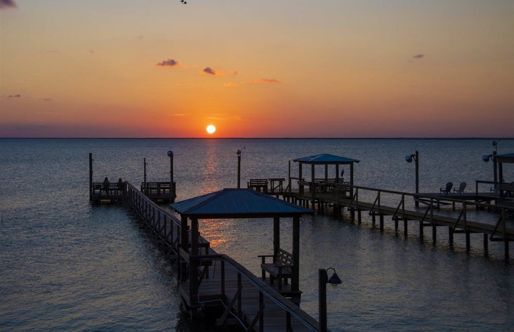 Trout Tank by Miss Kitty s in Rockport, United States