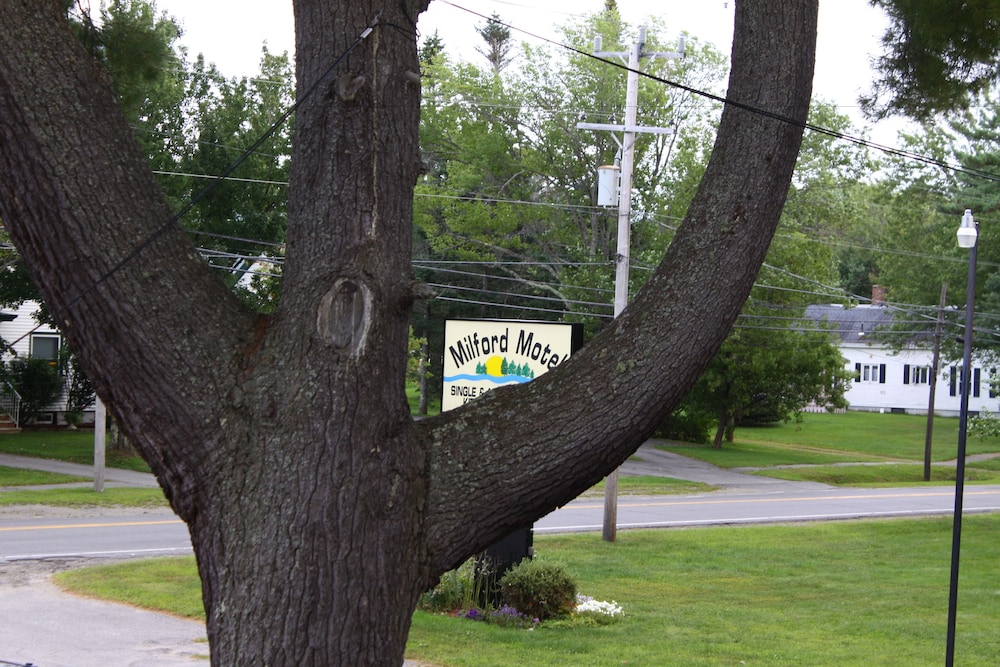 Milford Motel On the River - photo 18