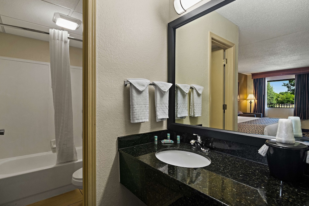 Best Western Windsor Suites - photo 25