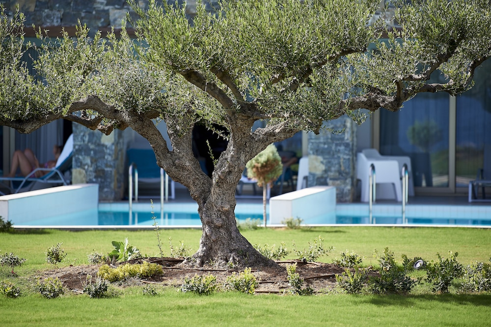 Kakkos Beach Hotel Adults Only — Ierapetra — photo 4