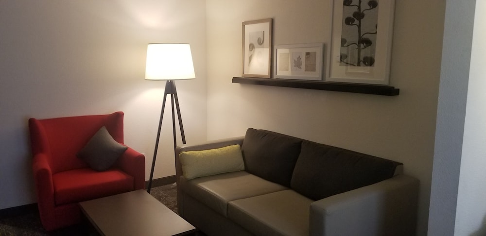 Country Inn & Suites by Radisson Canton GA - photo 5