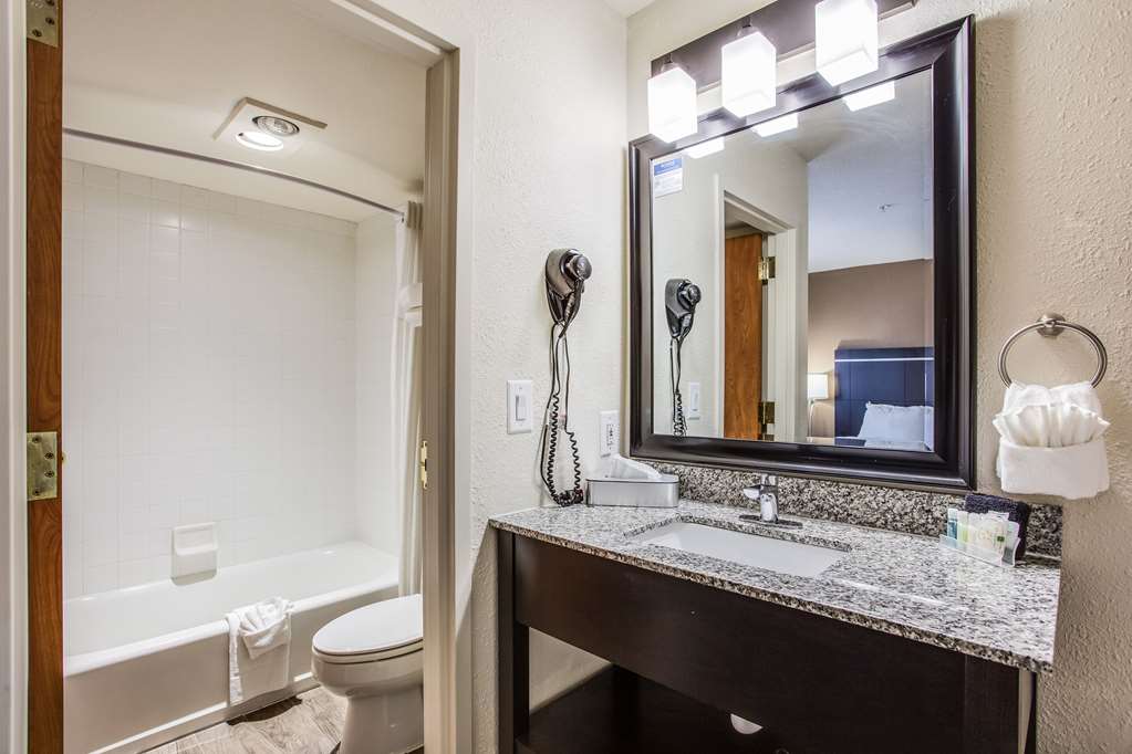 Quality Inn & Suites Meridian West Boise - photo 18