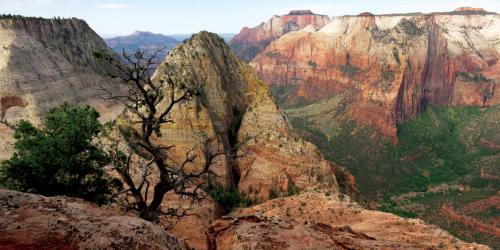 2 Cranes Inn Zion - photo 38