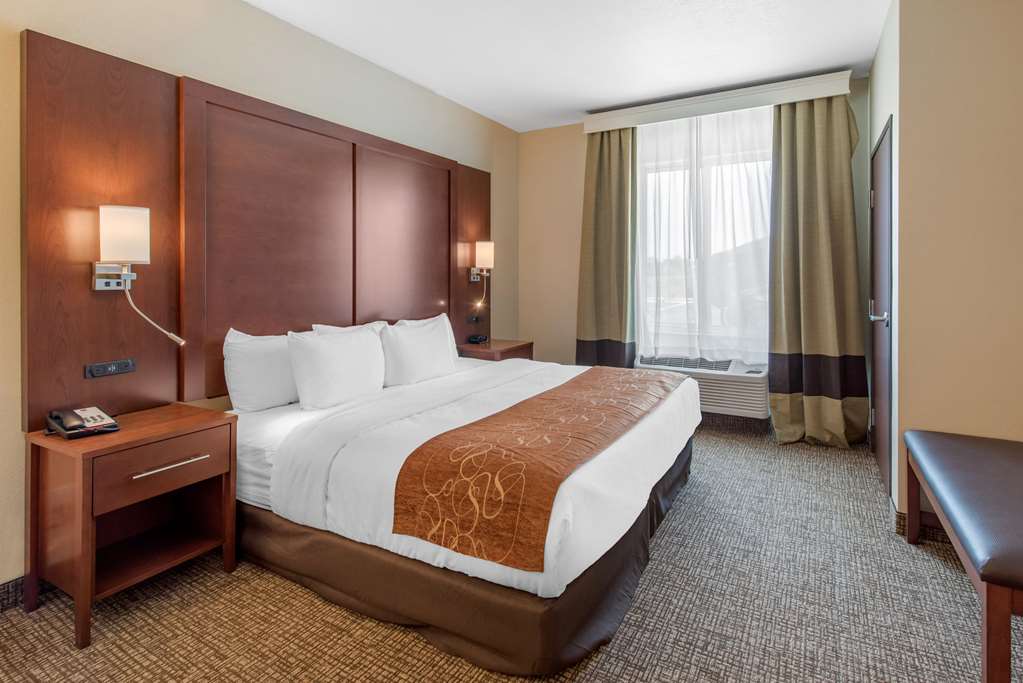 Comfort Suites Denver International Airport - photo 12