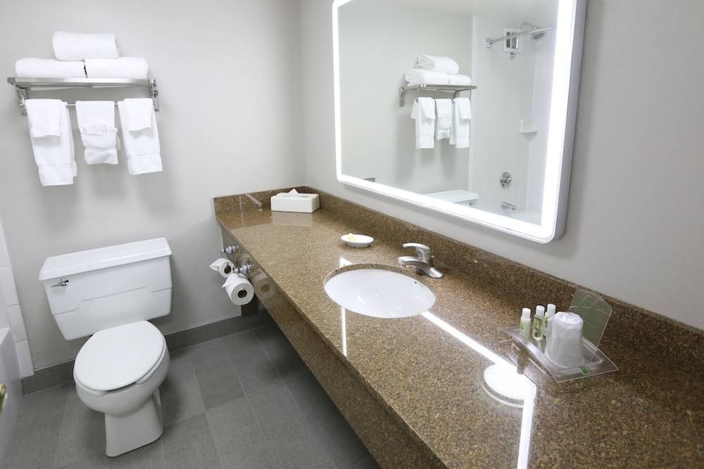 Holiday Inn Chicago O'Hare Area by IHG - photo 39