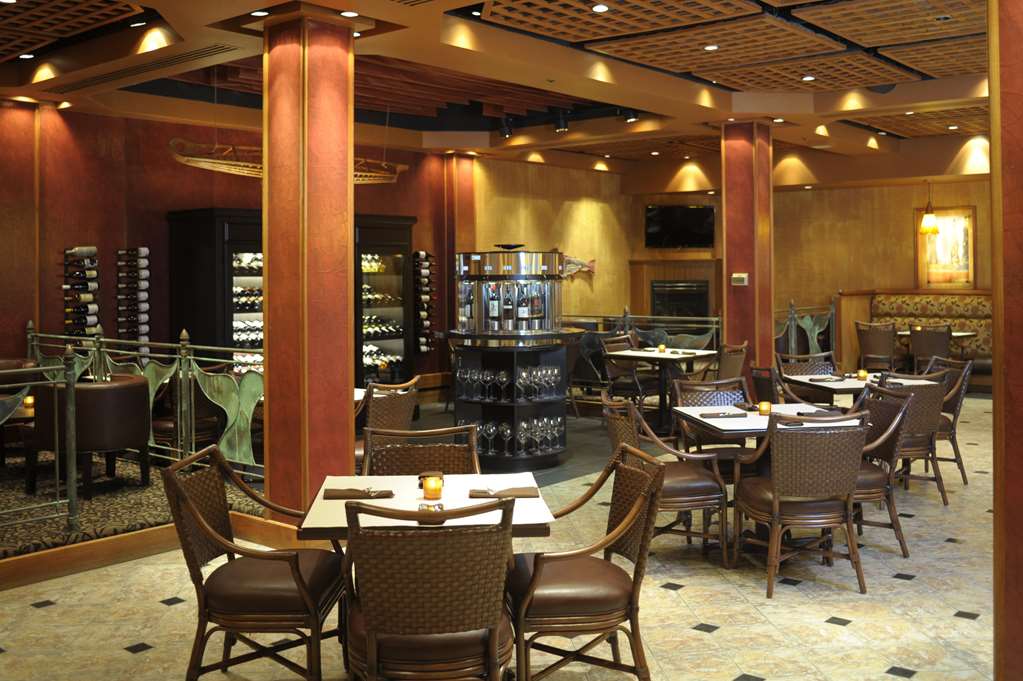 Hotel Captain Cook - photo 16