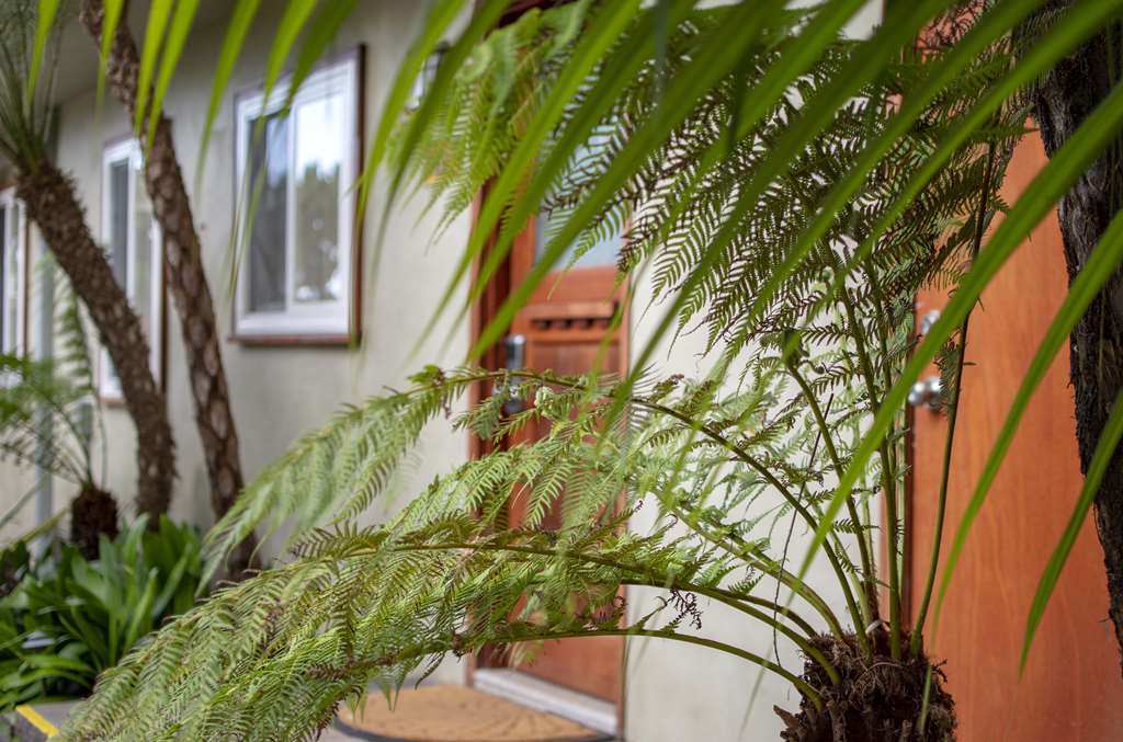 Ocean Palms Beach Resort - photo 114
