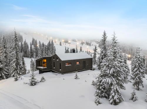 Ski in out hytte på Kvitfjell — 4-Star Luxury Hotel in Ringebu, Norway