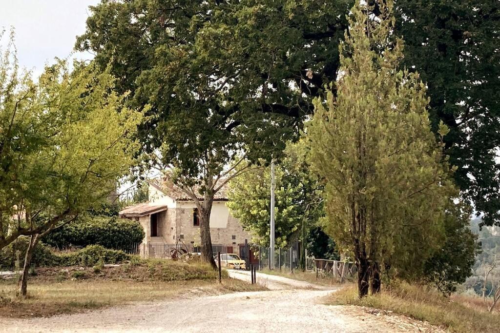 Casale dei 3 galli — Configni — photo 3