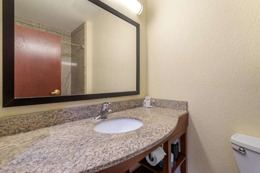 Comfort Inn & Suites Northeast Gateway - photo 24