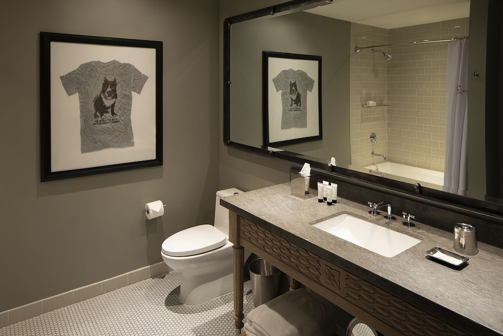 Hotel ZaZa Austin - photo 17