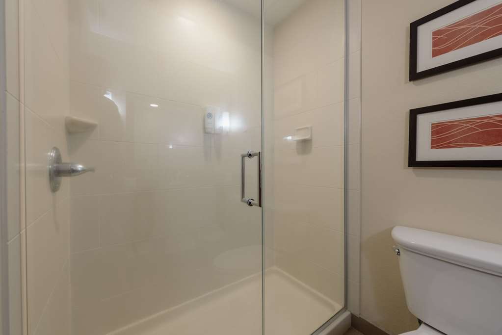 Comfort Inn & Suites Alamosa - photo 50