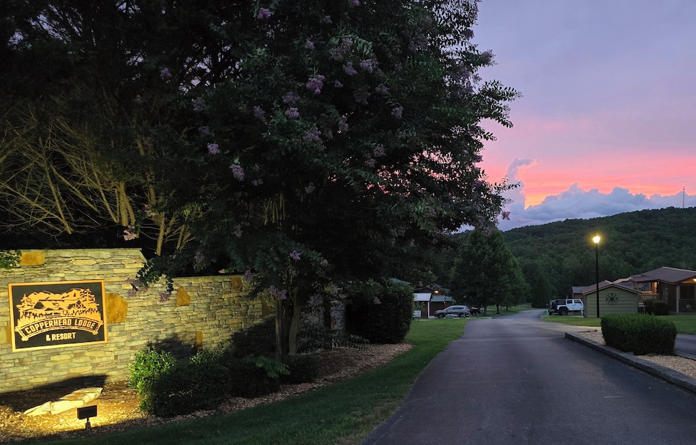 Copperhead Lodge and Resort Cabin Rentals - photo 69