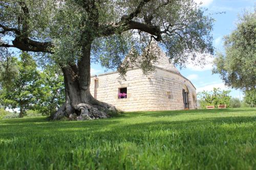 Trulli Gemma — Unknown City — photo 3
