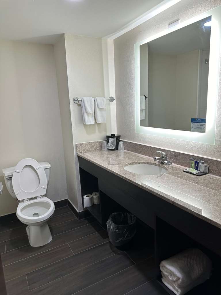 Sleep Inn & Suites Pineville Alexandria - photo 33