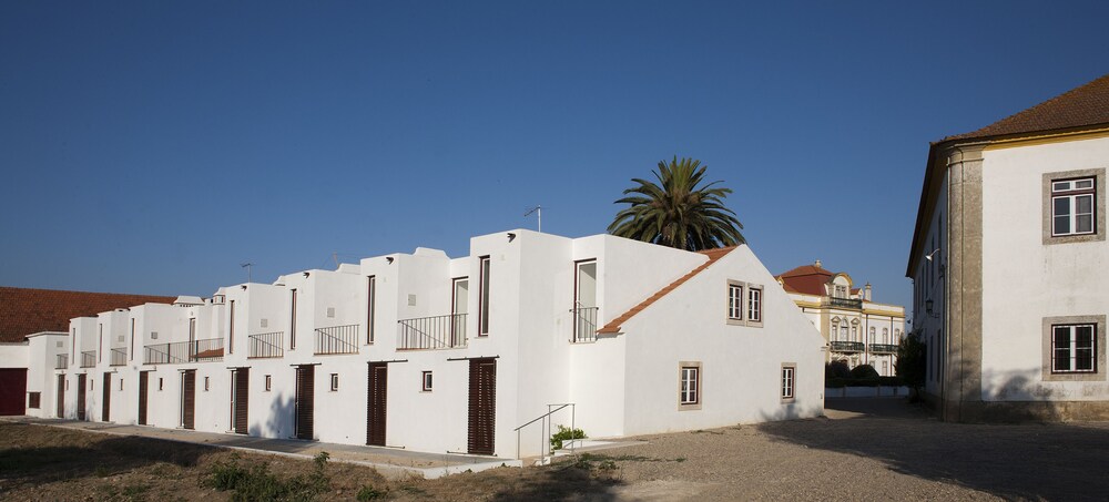 Quinta dos Álamos Agroturismo — Golega — photo 3