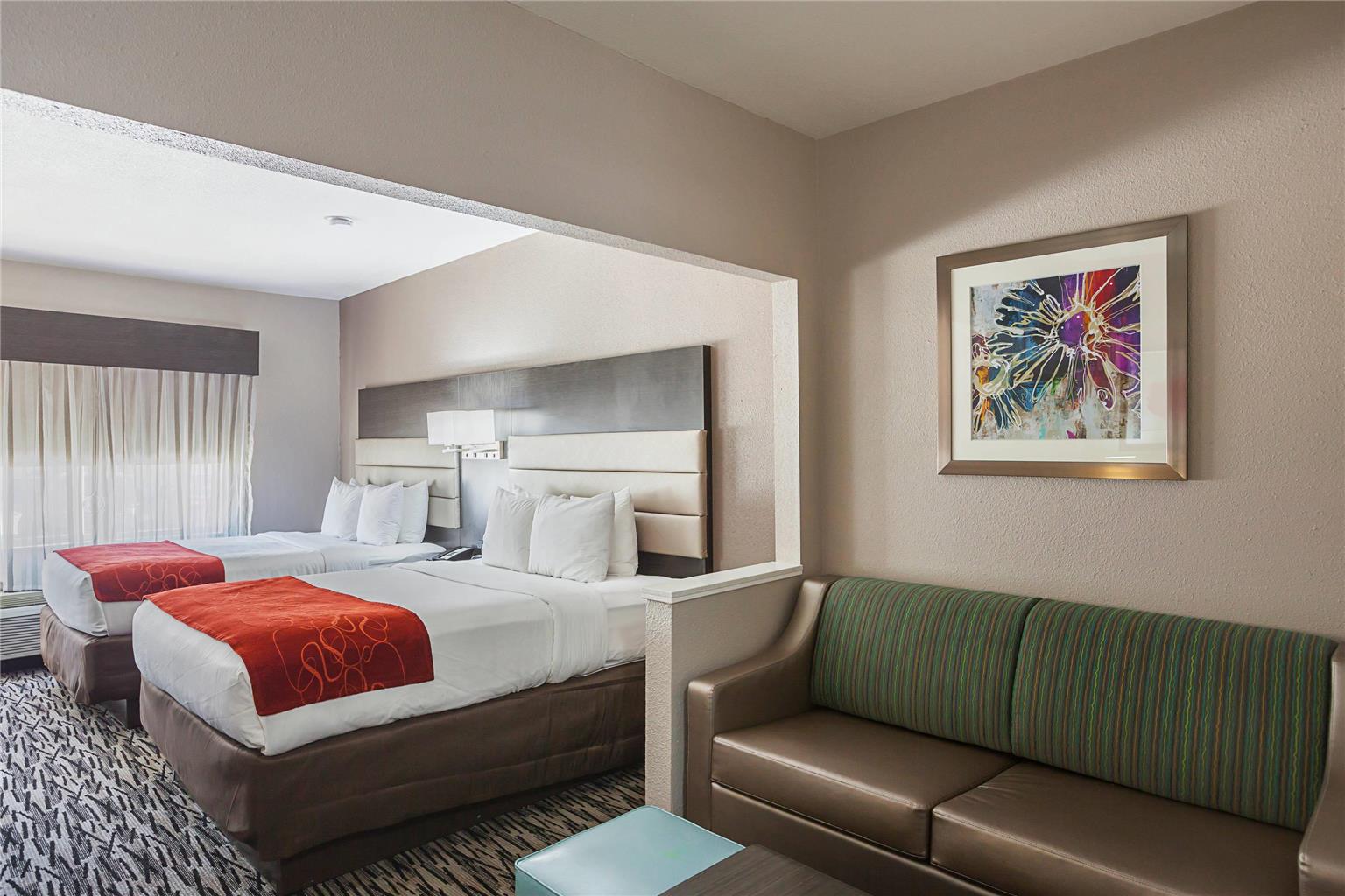 Comfort Suites Lewisville Dallas - photo 12