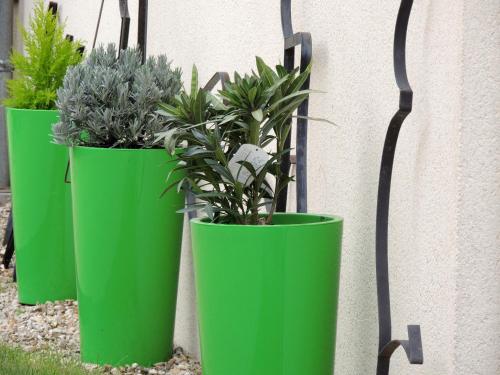 Les Crocus in Vierzon, France