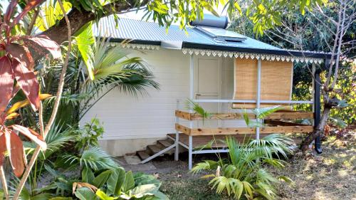 Palm Activity in Saint-Pierre, Réunion
