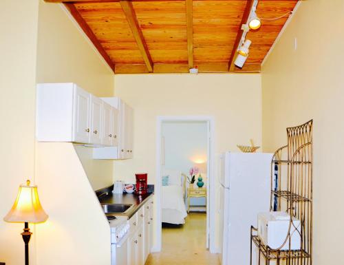 Sea Turtle Inn - photo 61