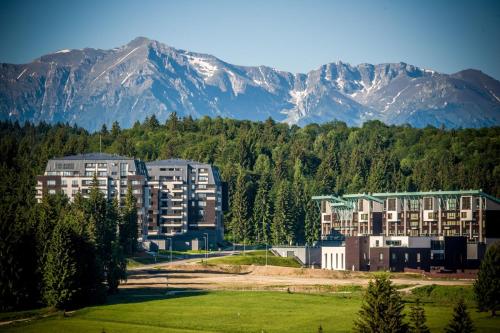 Pine Woods Apartment A28 in Silver Mountain — 4-Star Luxury Hotel in Brasov, Romania