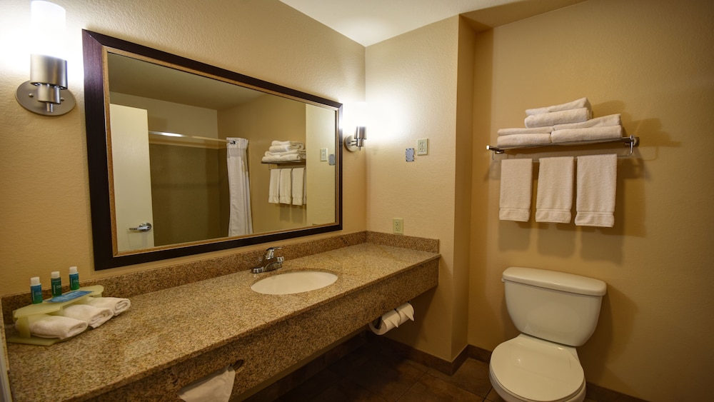Holiday Inn Express & Suites Del Rio by IHG - photo 33