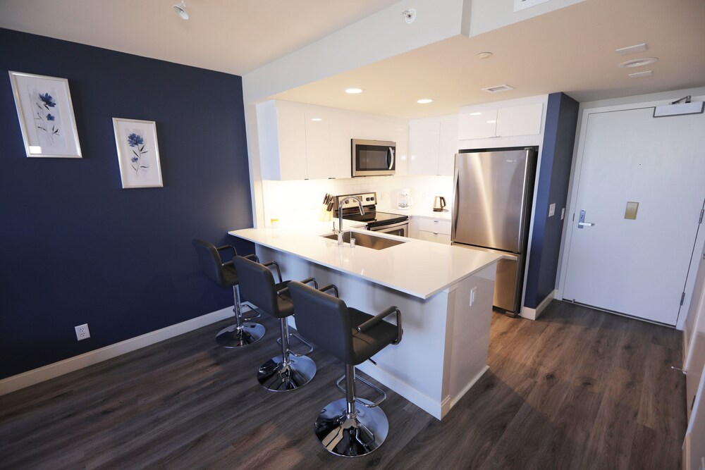 Downtown Cosmopolitan Suites - photo 29