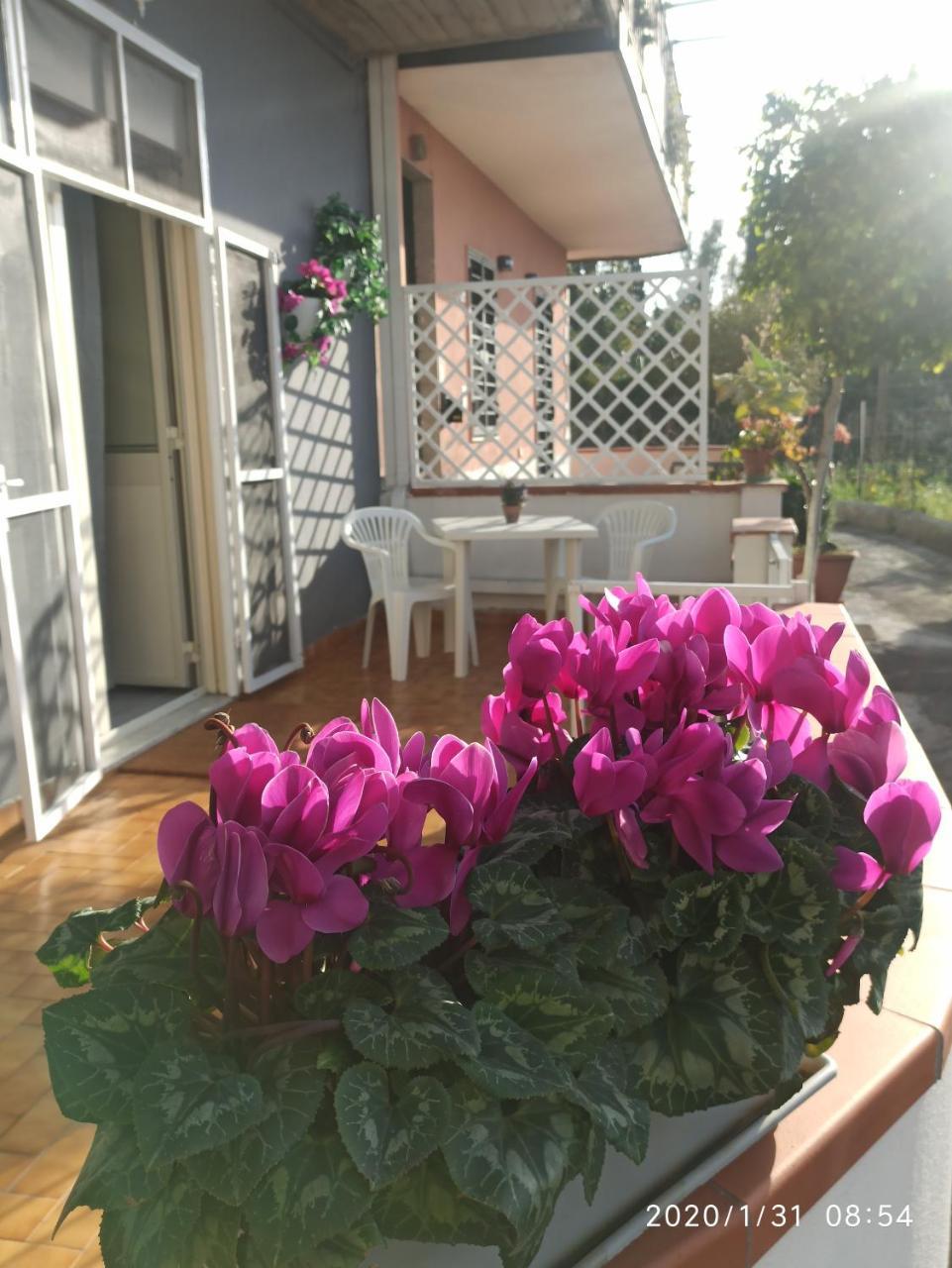 Le Casette di Nonna Rosa in Fontanarossa Catania Airport in Catania, Italy