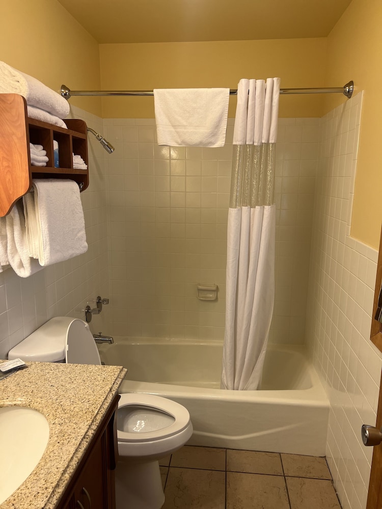 All Star Inn & Suites - photo 350