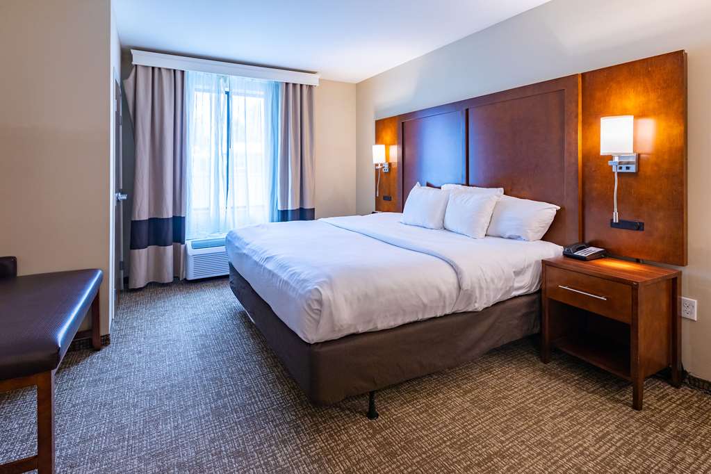 Comfort Suites Denver near Anschutz Medical Campus - photo 11