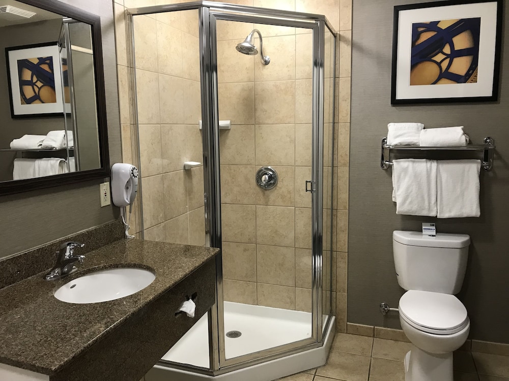 Holiday Inn Express & Suites Barstow Route 66 by IHG - photo 41
