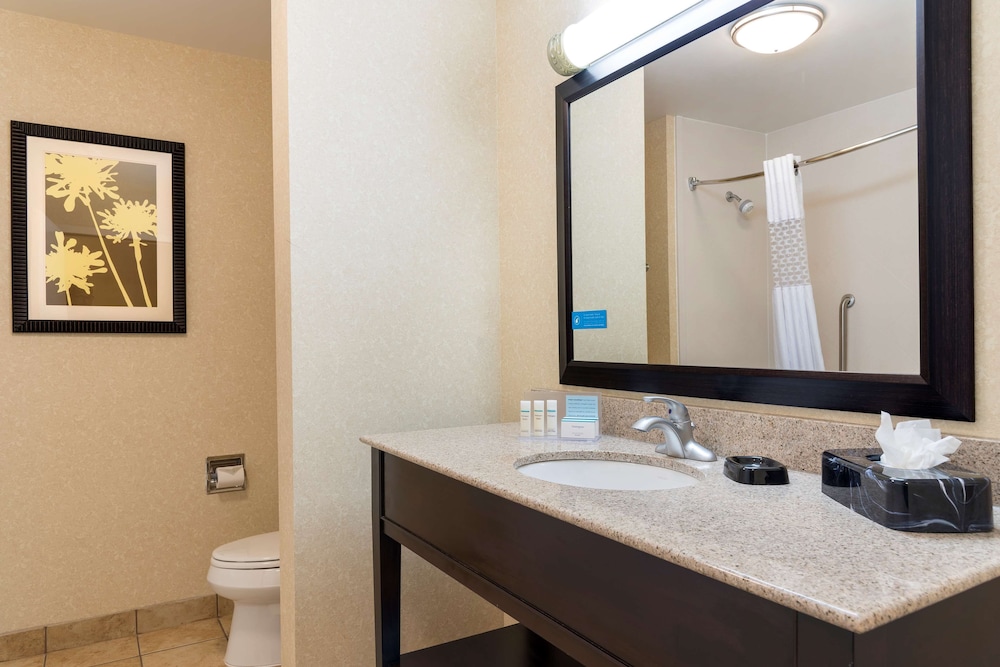 Hampton Inn Detroit Roseville - photo 22