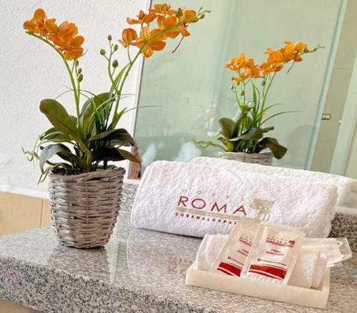 Hotel Roma — 4-Star Luxury Hotel in Cosamaloapan, Mexico